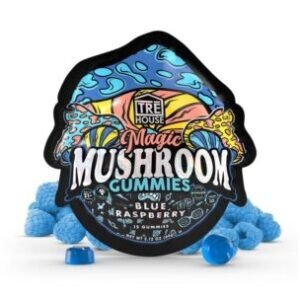 Mushroom Gummies