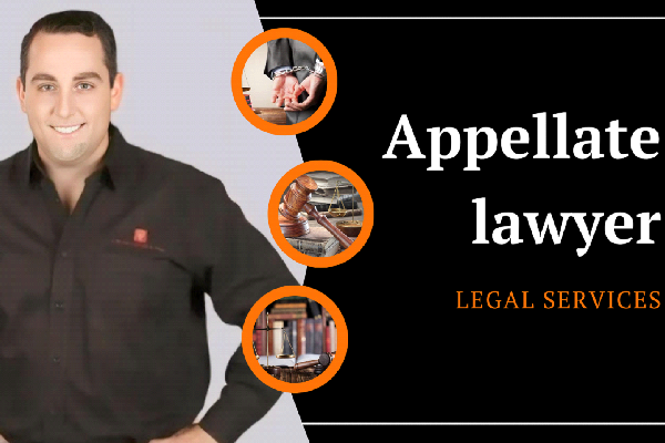 Understanding the Role of Lawyers in Federal Appeal Cases