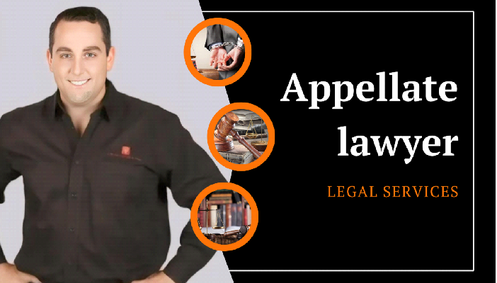 Understanding the Role of Lawyers in Federal Appeal Cases