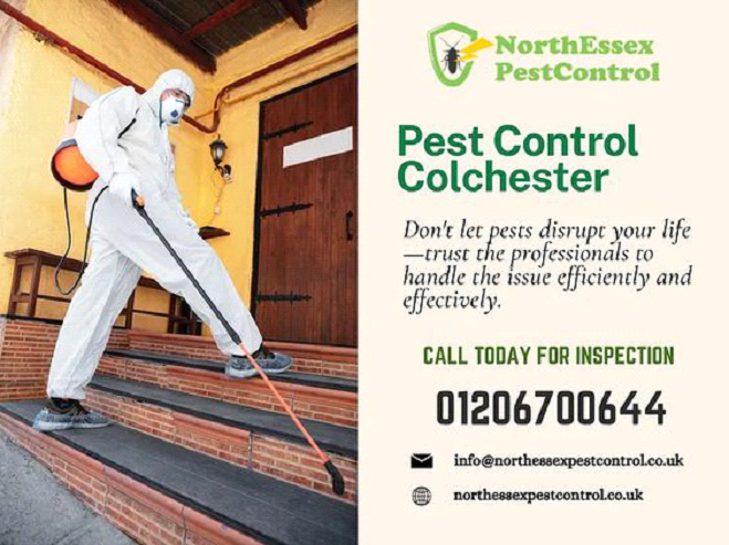 Protect Your Home: Professional Pest Inspections in Colchester