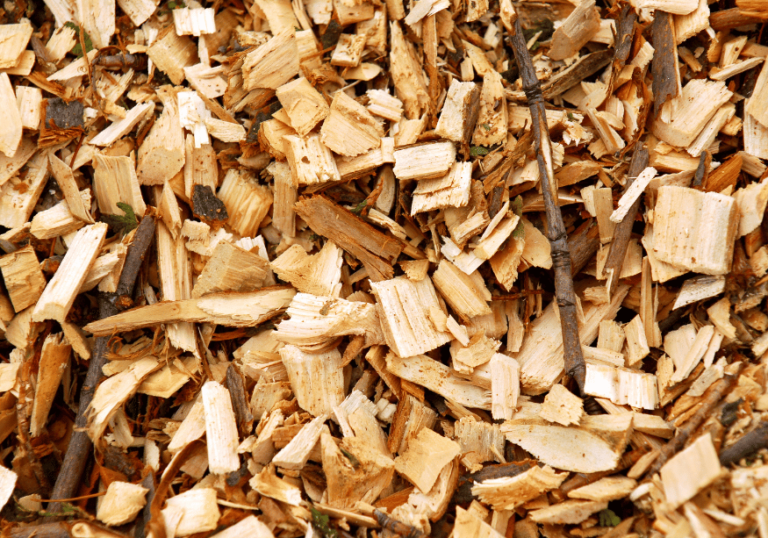 Choosing the Right Wood for Smoking: A Comprehensive Guide