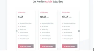 YouTube Views and Subscribers A Look at YouTubeStorm.com