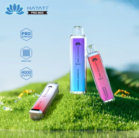 Introduction to Hayati Pro Max 4000 Disposable Vape