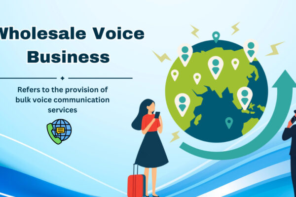 Wholesale Voice Business