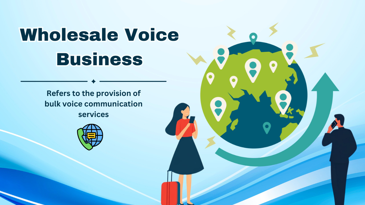 Wholesale Voice Business