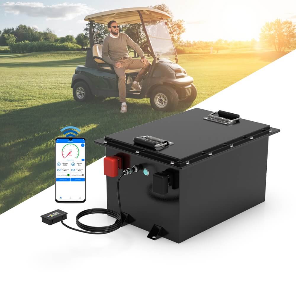 48V Lithium Golf Cart Battery