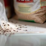 Why You Might Be Finding Beetles in Your Flour and Grains