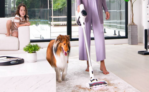 10 Pet-Hair Trouble Spots You Can Tackle with a Vacuum Cleaner