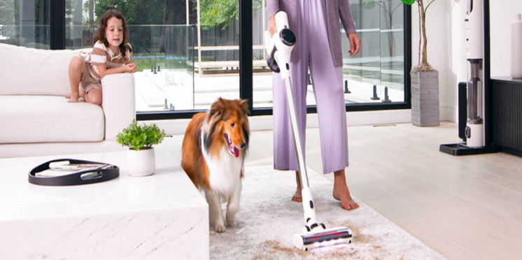 10 Pet-Hair Trouble Spots You Can Tackle with a Vacuum Cleaner