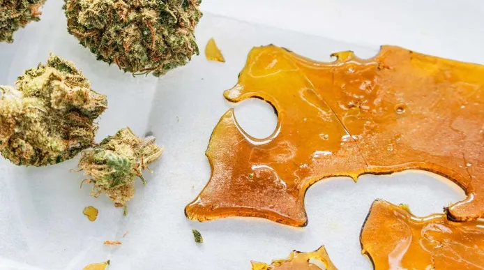 What Is Shatter And Why Is It Highly Sought After In Canada And The US?