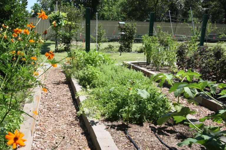 How to Choose the Best Plant Food for Your Garden’s Growth