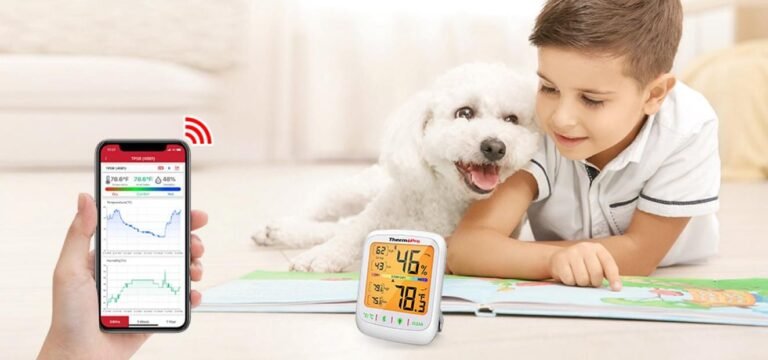 Summer Humidity Control: Why a Digital Hygrometer is Essential