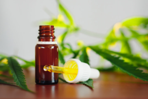 Daily Wellness Routines