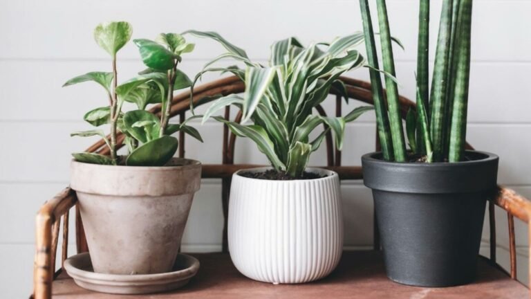 How to Upgrade Your Plant With Automation 