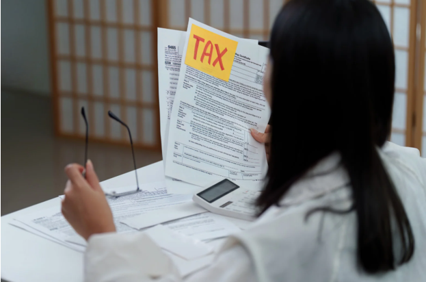 Why Professional Tax Assistance Matters