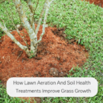 Lawn Aeration